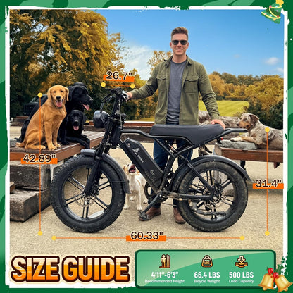 Electric Bike for Adults